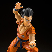 Yamcha -Earths Foremost Fighter-
