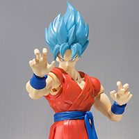 Super Saiyan God Super Saiyan Son Goku