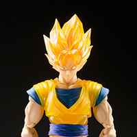 SUPER SAIYAN GOKU-Z Warriors-