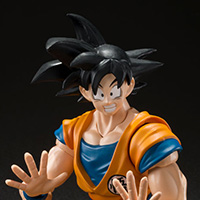 Son Goku Super Hero