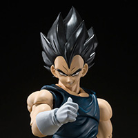 Vegeta Super Hero