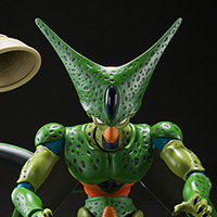 Cell First Form