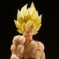 Super Saiyan Son Goku -Legendary Super Saiyan-