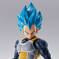 Super Saiyan God Super Saiyan Vegeta S.H.Figuarts 15th Anniversary Ver