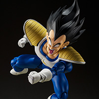 Vegeta -24000 Power Level-