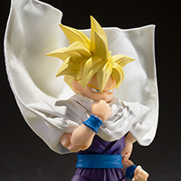 Super Saiyan Son Gohan -The Fighter Who Surpassed Goku-