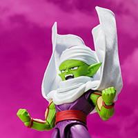 PICCOLO (MINI) -DAIMA-