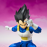 VEGETA -DAIMA-