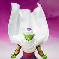 PICCOLO -DAIMA-
