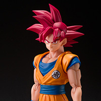 SUPER SAIYAN GOD SON GOKU <GOD AURA>