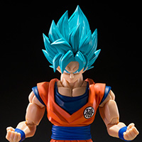 SUPER SAIYAN GOD SUPER SAIYAN SON GOKU <BLUE POWER TRANSCENDING LIMITS>