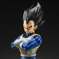 VEGETA <Z-FIGHTERS>