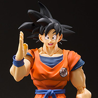 Son Goku A Saiyan Raised on Earth