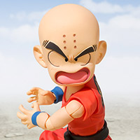Krillin Young Years