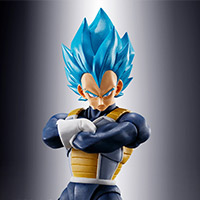 Super Saiyan God Super Saiyan Vegeta